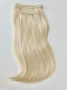 Bugatti #60 Clip-on Hair Extensions