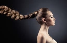 Coada de Par cu bentite Ombre #4 #18