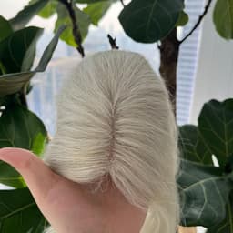 Front Lace Light Grey Front Lace Light Grey