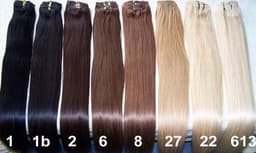 Cordelute Impletite Cordelute Impletite