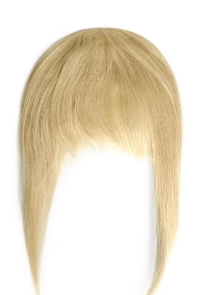 Breton cu Calota Blond Deschis Breton cu Calota Blond Deschis