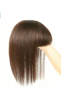 Breton cu Calota Ciocolatiu Deschis Breton cu Calota Ciocolatiu Deschis