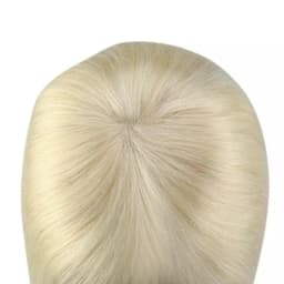 Breton cu Calota Blond Platinat Breton cu Calota Blond Platinat