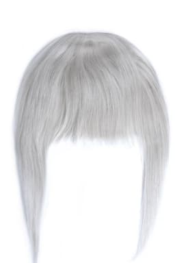 Breton cu Calota Gri Deschis Breton cu Calota Gri Deschis